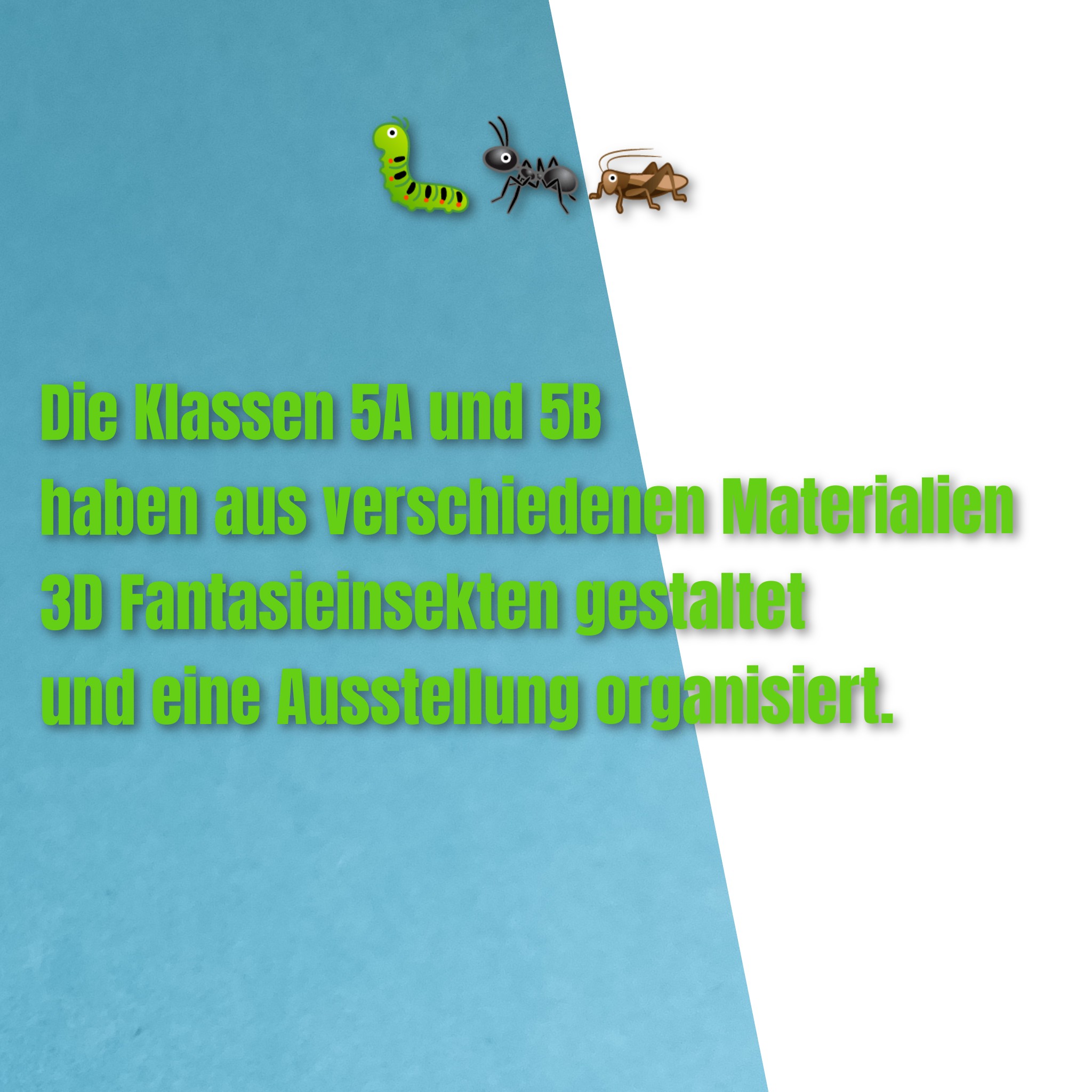 Read more about the article Projekt “Insekten”