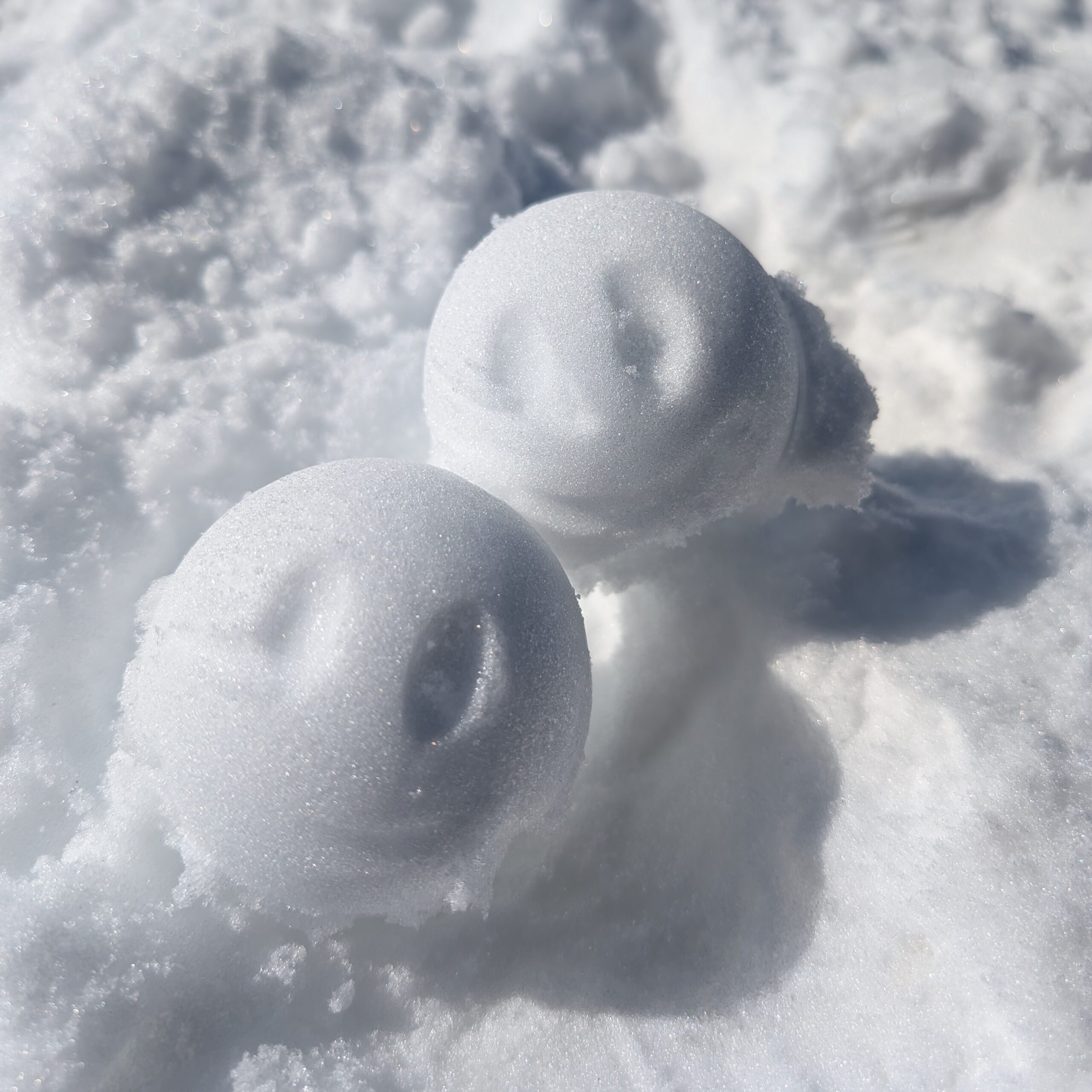 Mehr über den Artikel erfahren Winterausflug – Spurensuche im Schnee