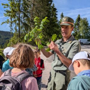 Mehr über den Artikel erfahren Natur erleben