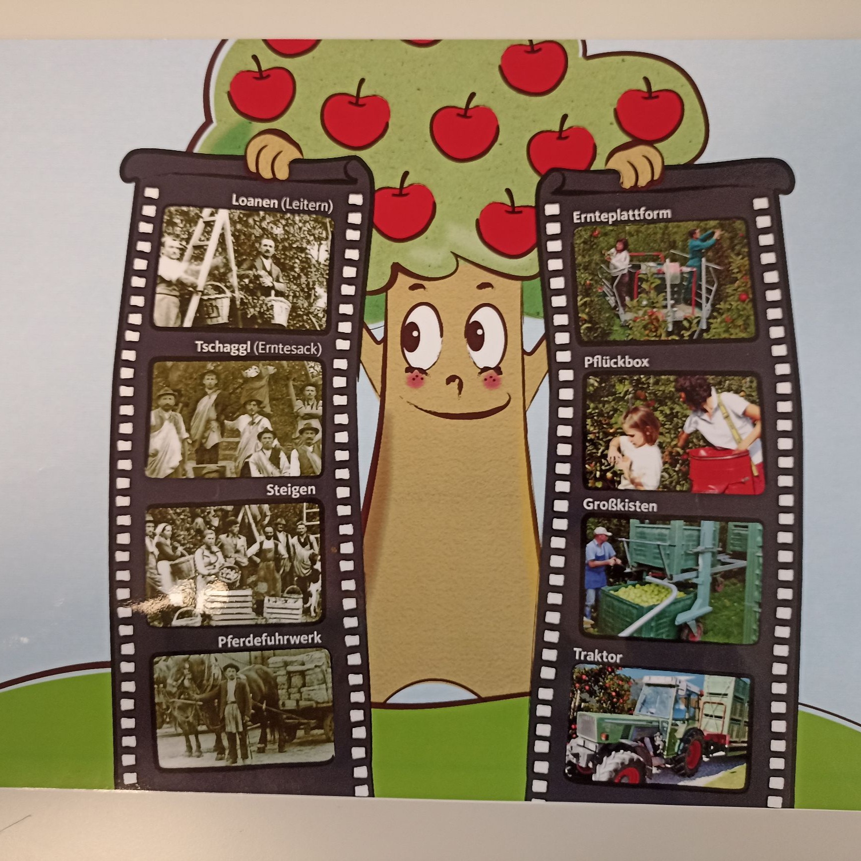 Mehr über den Artikel erfahren Apfelprojekt