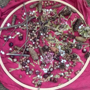 Mehr über den Artikel erfahren Herbstfest mit dem Kindergarten Texelpark
