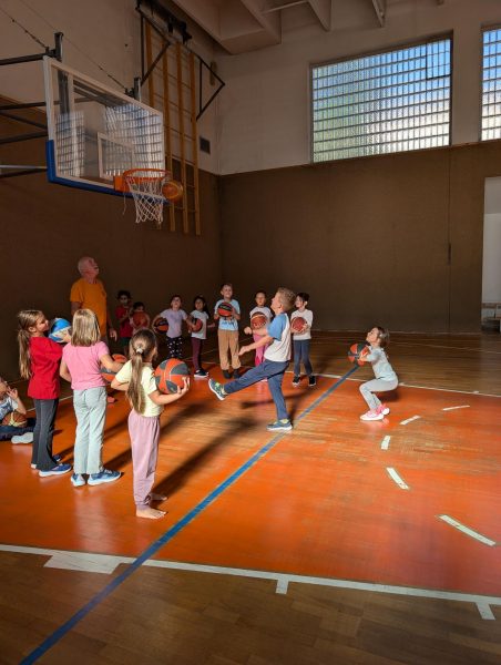 Easy Basket (2)