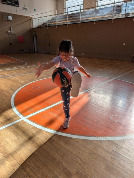 Easy Basket (3)