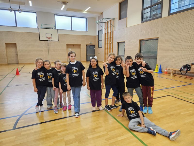 Handballprojekt (3)
