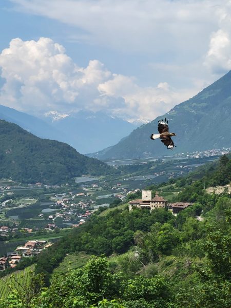 IMG-20230523-WA0022