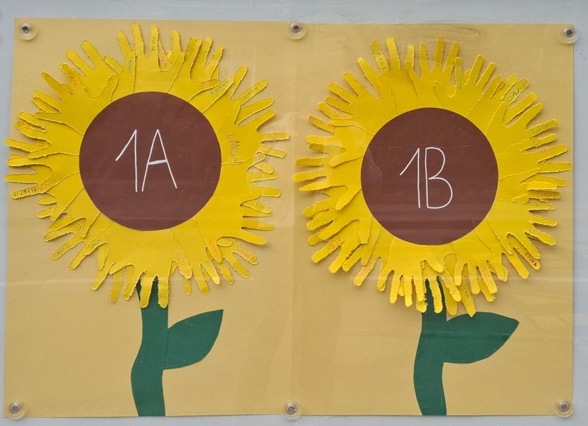 Sonnenblume