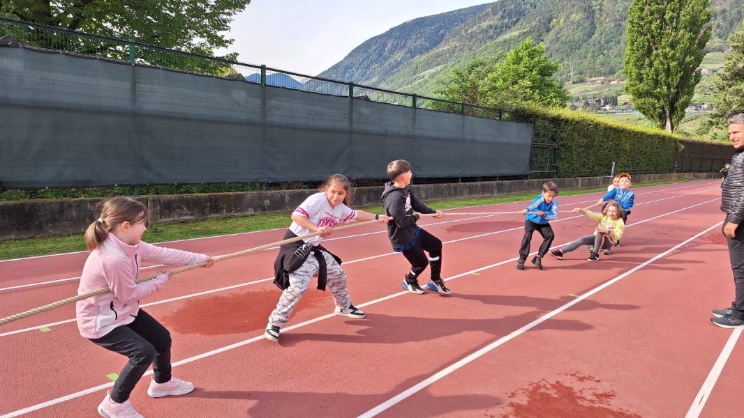 Sportfest 43