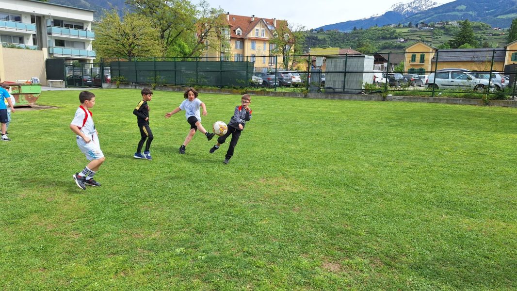 Sportfest 73