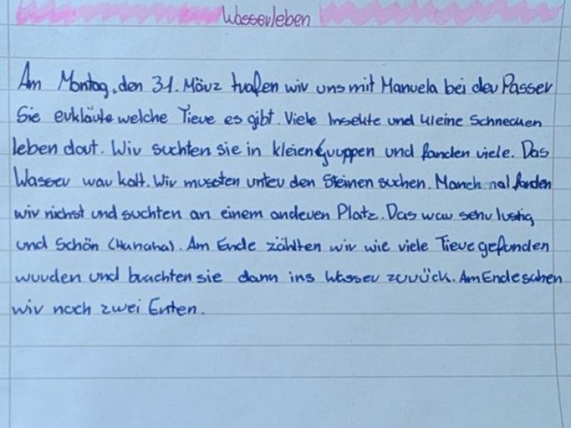 Wasserleben1