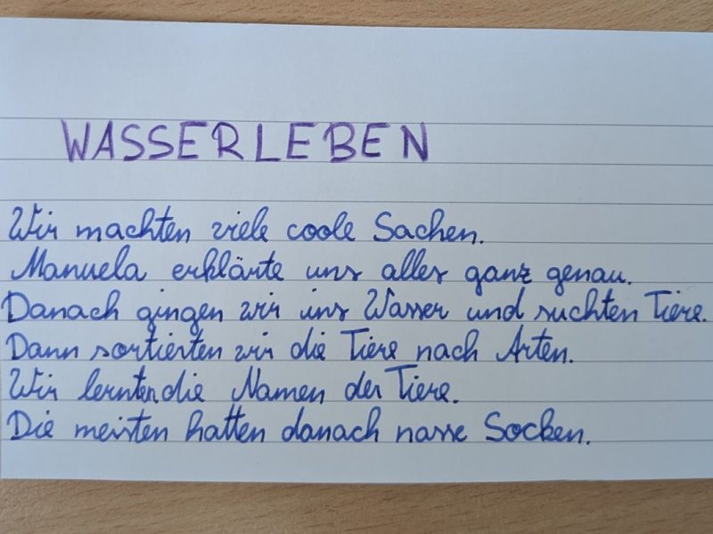 Wasserleben2