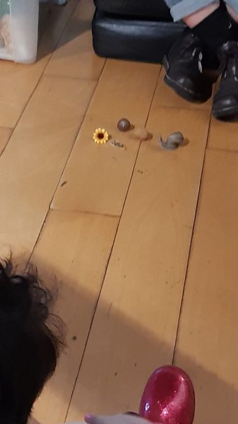 WhatsApp Bild 2024-03-10 um 19.50.51_8a7566c8